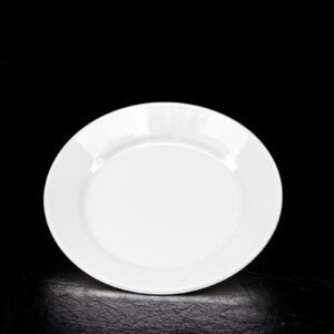 10.5″ Ivory China Dinner Plates