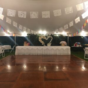 16×28 Dance Floor
